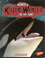 Summary: Killer whales, physical features, how they hunt and kill, and their role in the ecosystem.