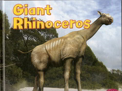 Summary: Prehistoric giant rhinoceros, how they looked, and what they did.
