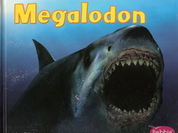 Summary: The life of megalodon, how it looked, and its behavior.