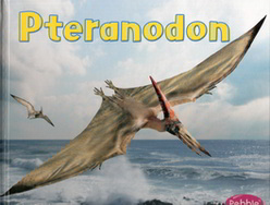 Summary: The life of pteranodon, how it looked, and its behavior.